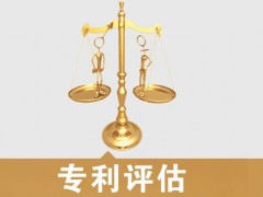 專利的價(jià)值評估，新手賣家必看