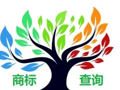 如何應對商標查詢盲期？